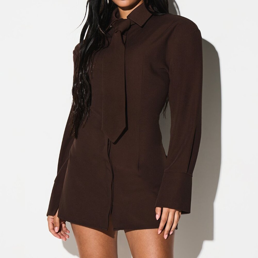 Brown Elegant Women's Long Sleeve Collared Tie Waist Mini Dress